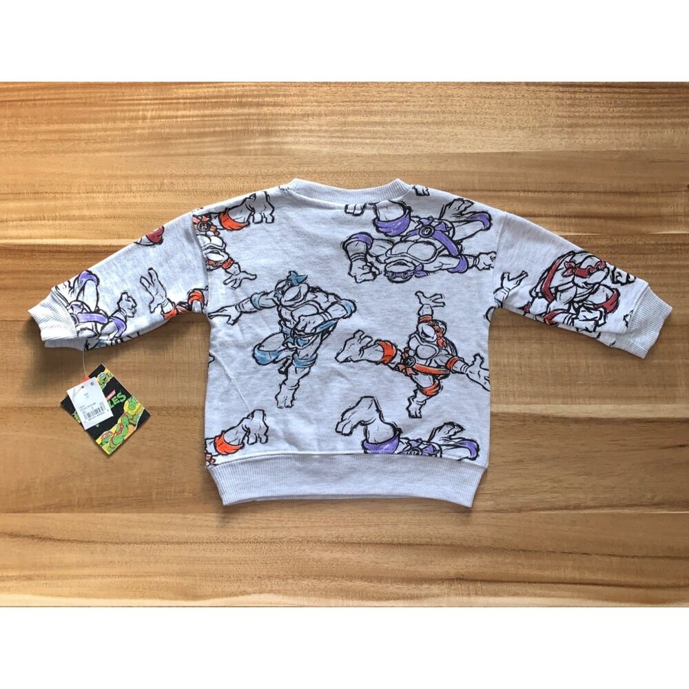 Nickelodeon Teenage Mutant Ninja Turtles Kids Sweatshirt Gray Graphic Design 2T - Picture 4 of 8